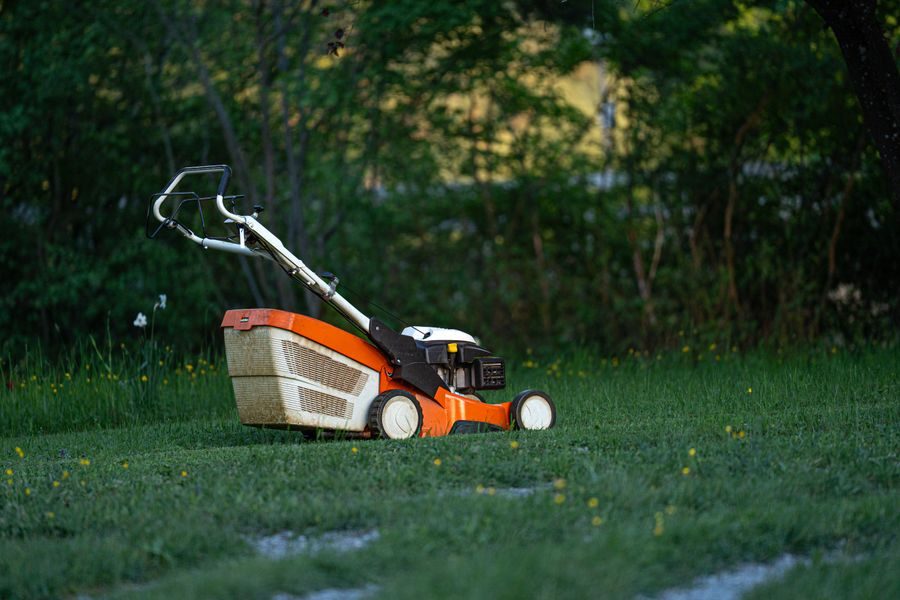 Landscaping